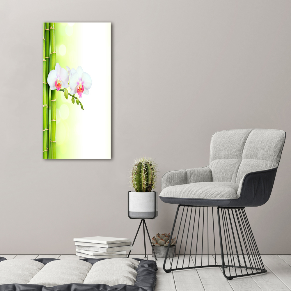 Acrylic print Orchid and bamboo