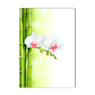 Acrylic print Orchid and bamboo