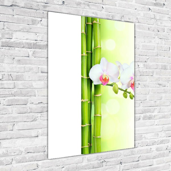 Acrylic print Orchid and bamboo