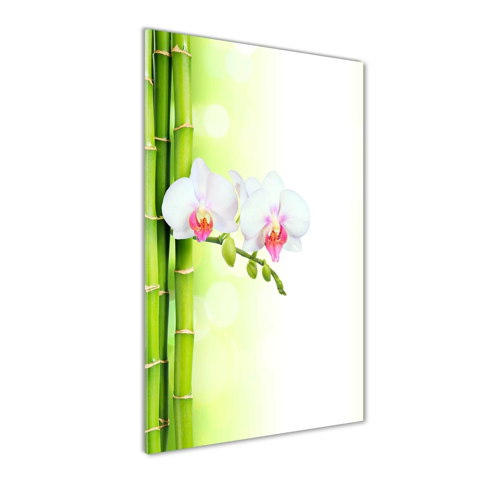 Acrylic print Orchid and bamboo