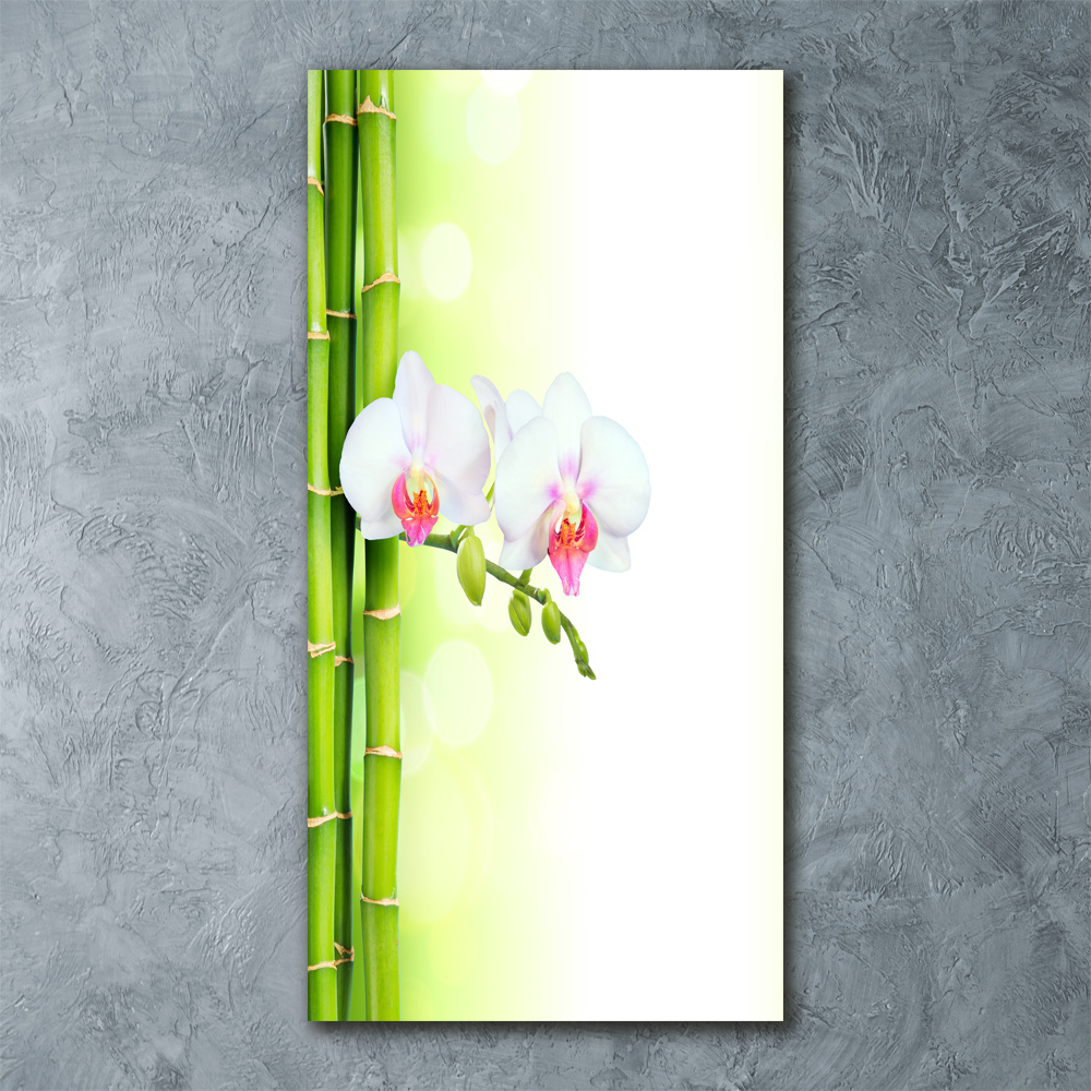 Acrylic print Orchid and bamboo