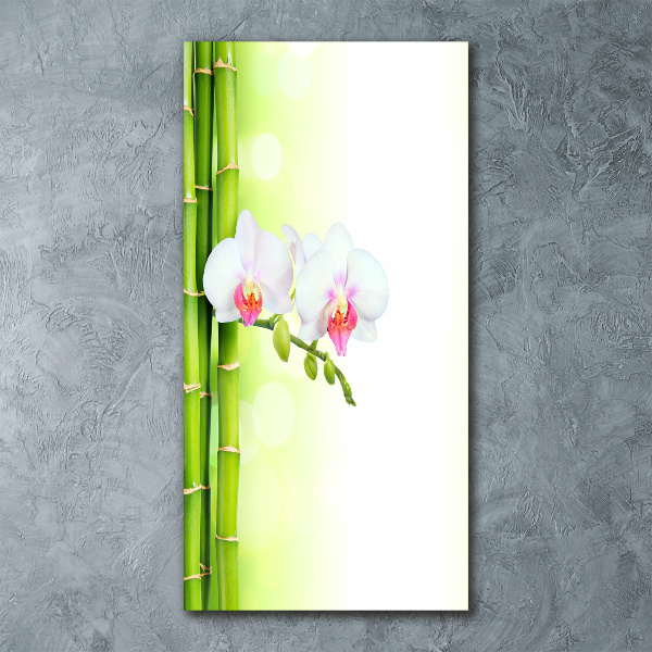 Acrylic print Orchid and bamboo