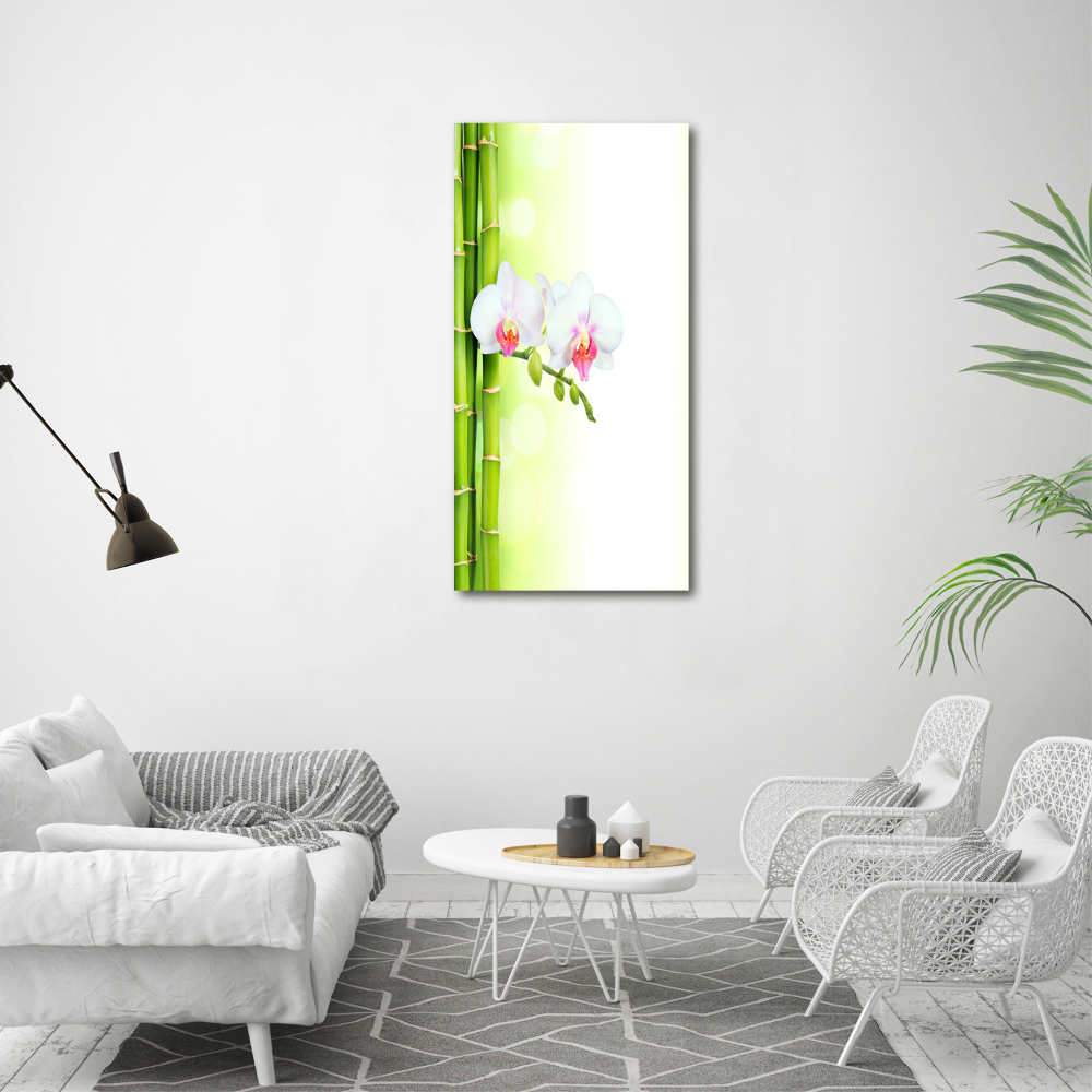 Acrylic print Orchid and bamboo