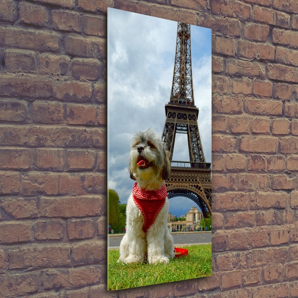 Wall art acrylic Dog in Paris