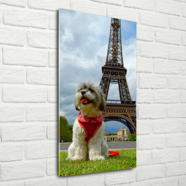 Wall art acrylic Dog in Paris