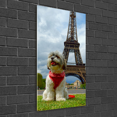 Wall art acrylic Dog in Paris