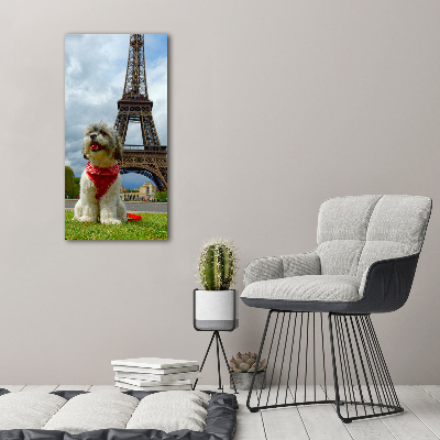 Wall art acrylic Dog in Paris