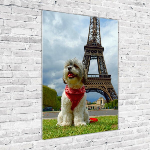 Wall art acrylic Dog in Paris