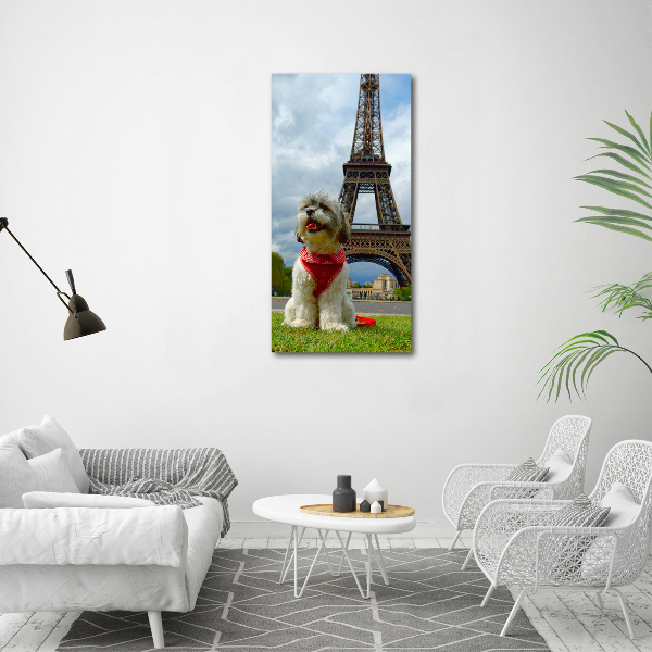 Wall art acrylic Dog in Paris