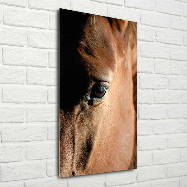 Print on acrylic Horse