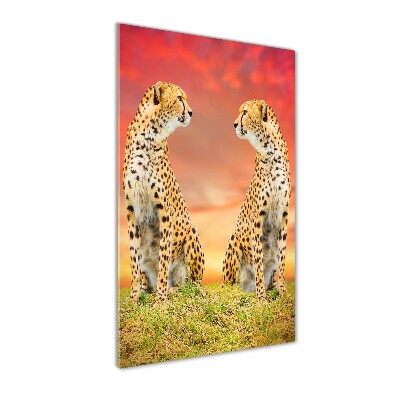 Acrylic wall art Two cheetahs