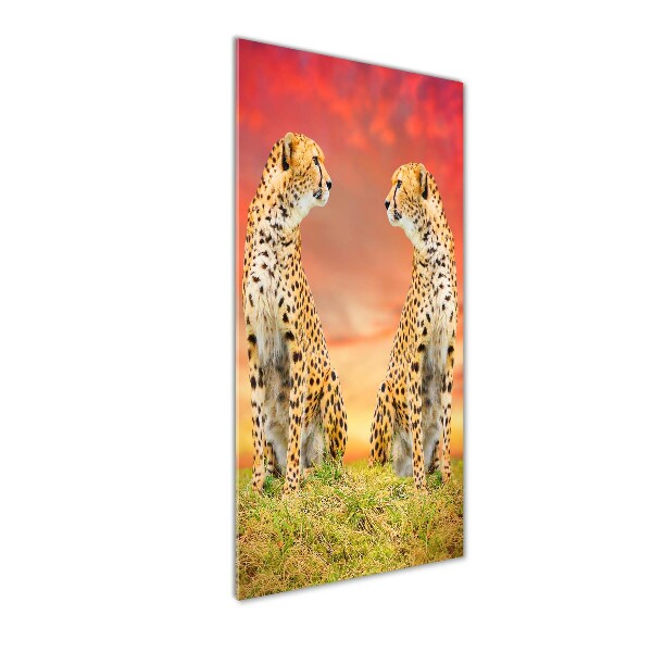 Acrylic wall art Two cheetahs