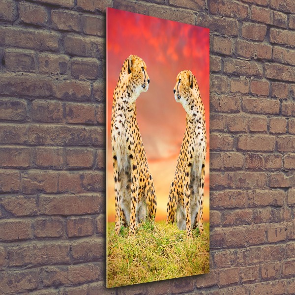 Acrylic wall art Two cheetahs