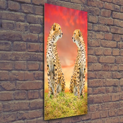 Acrylic wall art Two cheetahs