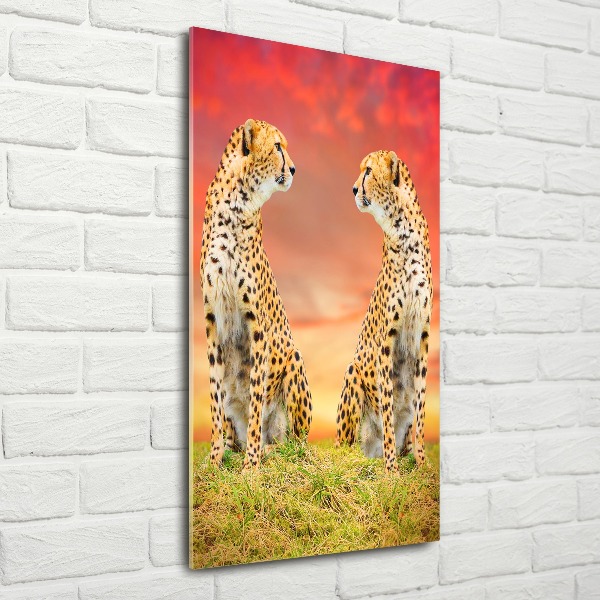 Acrylic wall art Two cheetahs