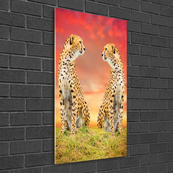 Acrylic wall art Two cheetahs