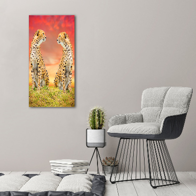 Acrylic wall art Two cheetahs