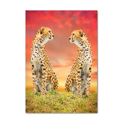 Acrylic wall art Two cheetahs