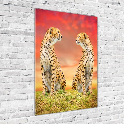 Acrylic wall art Two cheetahs