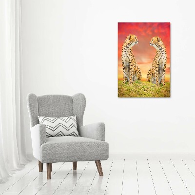 Acrylic wall art Two cheetahs