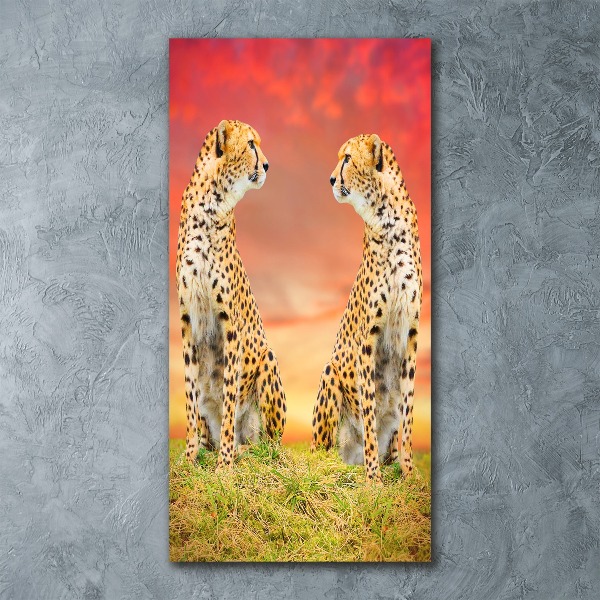 Acrylic wall art Two cheetahs