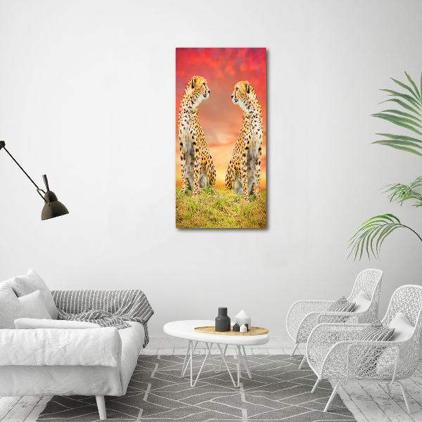 Acrylic wall art Two cheetahs