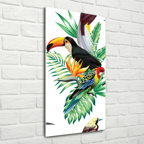 Acrylic print Tropical birds