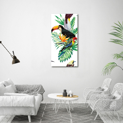 Acrylic print Tropical birds