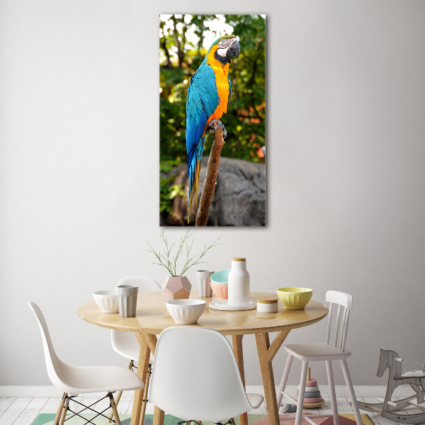 Print on acrylic Ara parrot