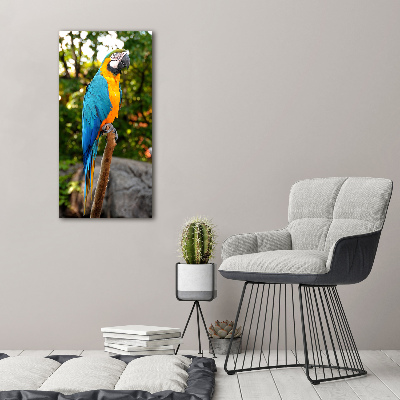 Print on acrylic Ara parrot