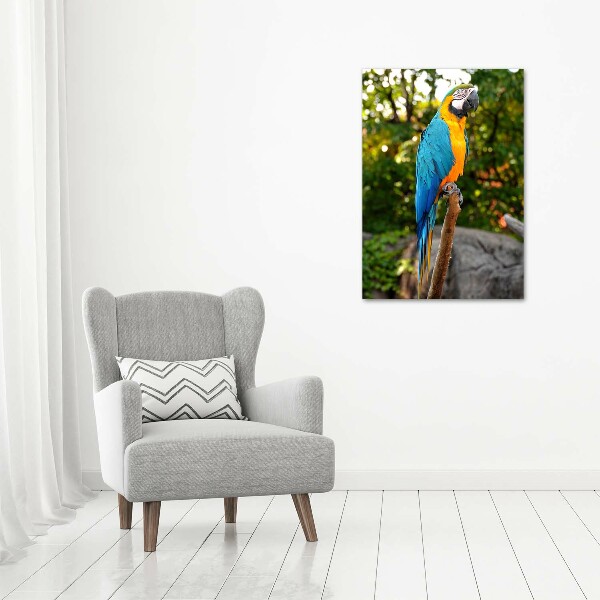 Print on acrylic Ara parrot