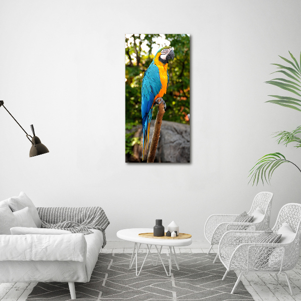 Print on acrylic Ara parrot