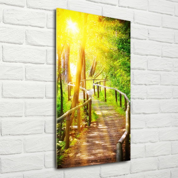 Print on acrylic Path in the forest