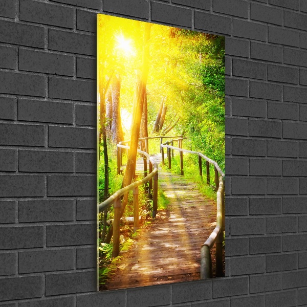 Print on acrylic Path in the forest