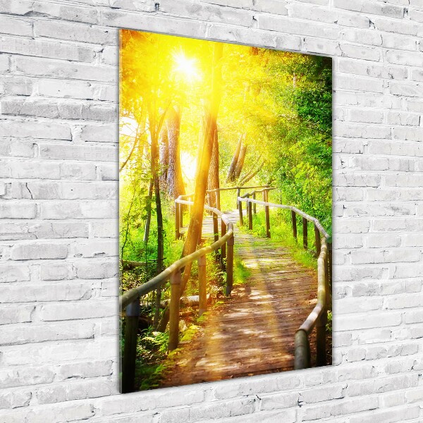 Print on acrylic Path in the forest