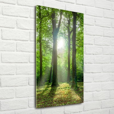 Print on acrylic The sun in the forest