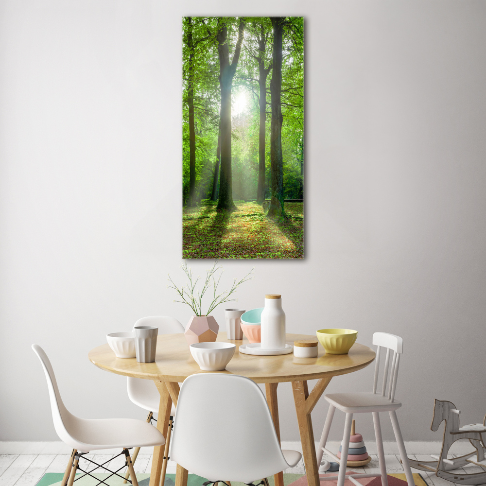 Print on acrylic The sun in the forest