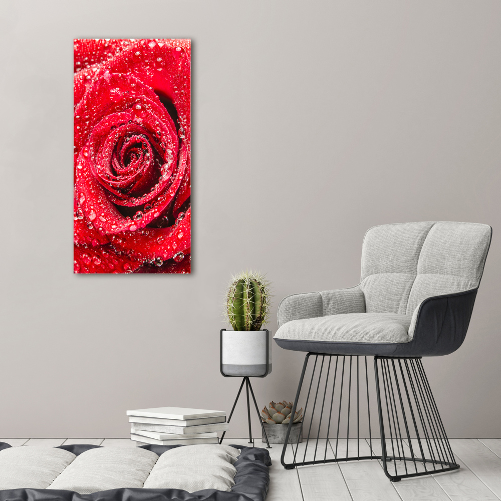 Print on acrylic Red rose