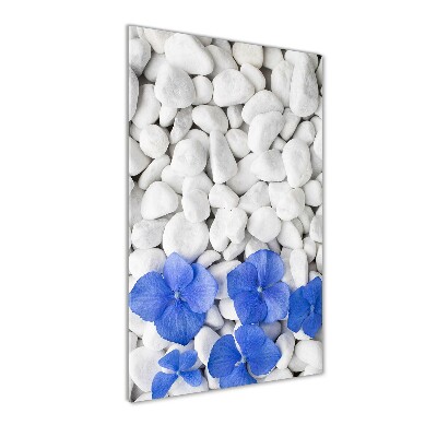 Acrylic print Hydrangea stones