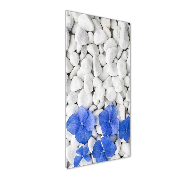 Acrylic print Hydrangea stones