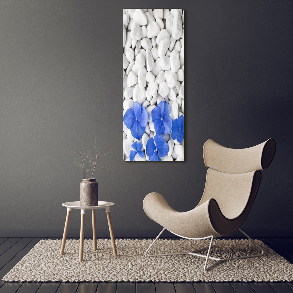 Acrylic print Hydrangea stones