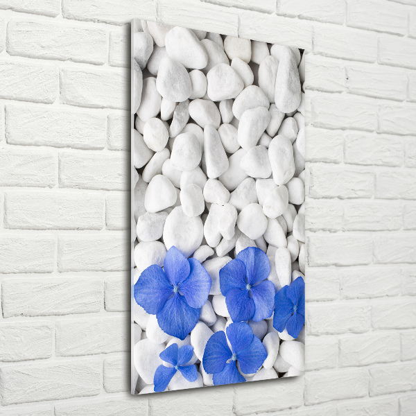 Acrylic print Hydrangea stones