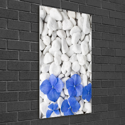 Acrylic print Hydrangea stones