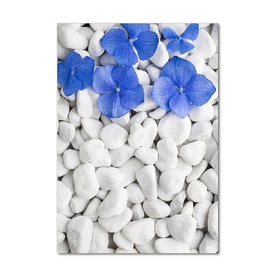 Acrylic print Hydrangea stones