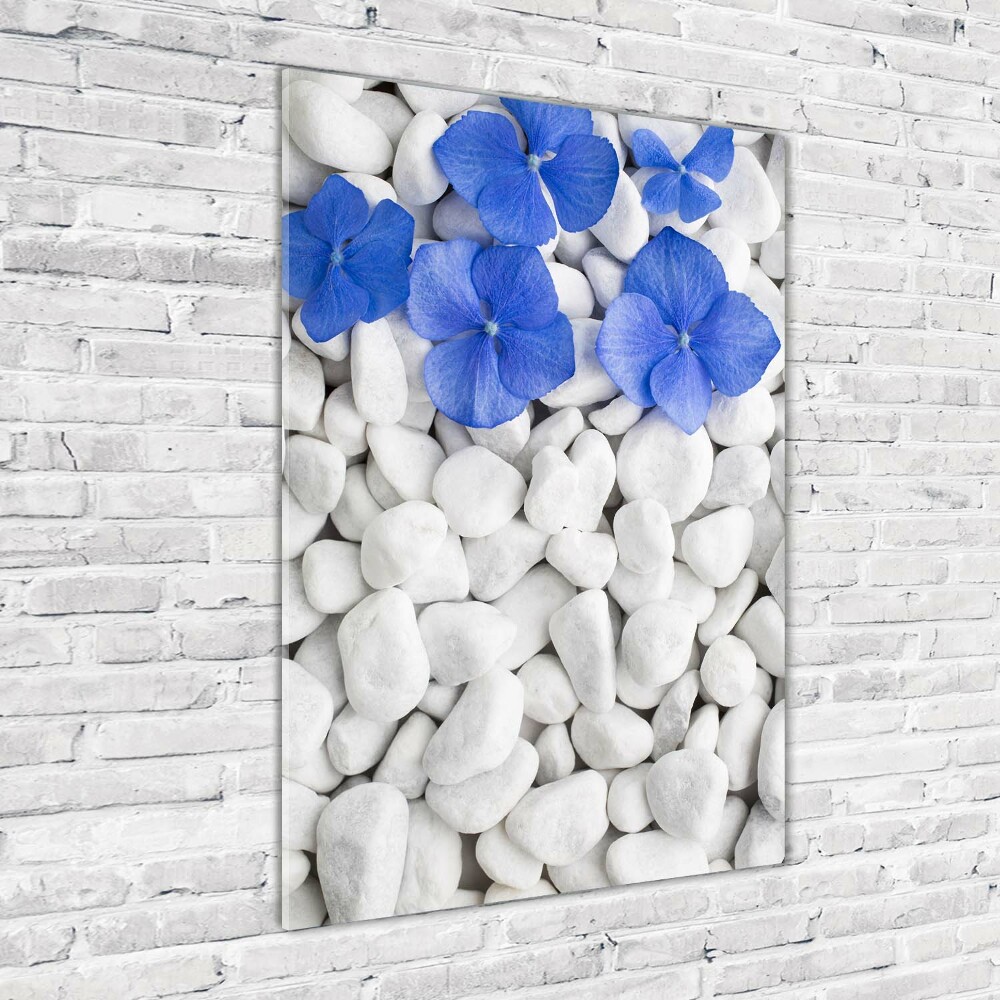 Acrylic print Hydrangea stones