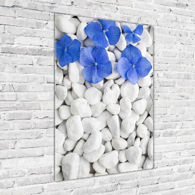 Acrylic print Hydrangea stones