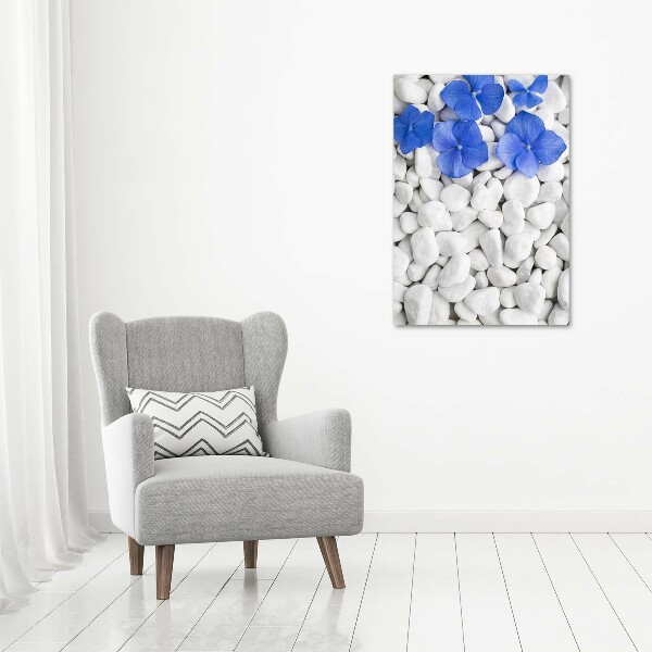 Acrylic print Hydrangea stones