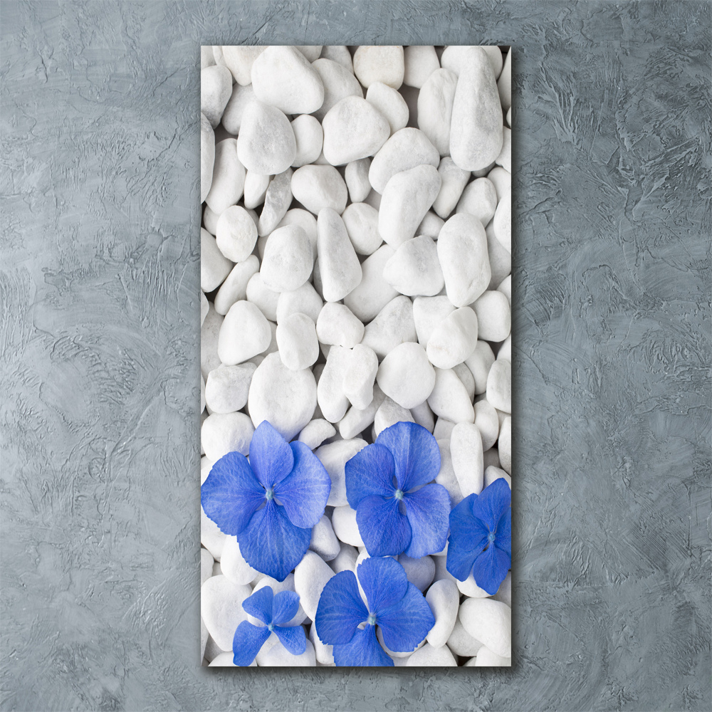 Acrylic print Hydrangea stones