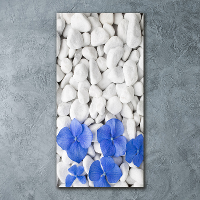 Acrylic print Hydrangea stones