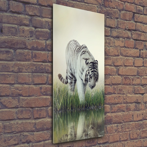 Print on acrylic White Tiger